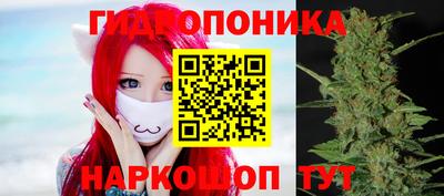 ALPHA PVP Гай