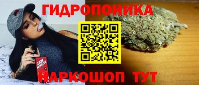 кокаин Кингисепп