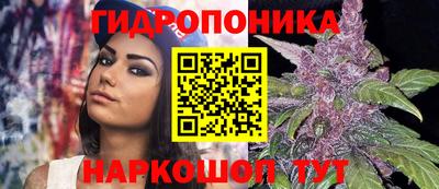 кокс Абинск
