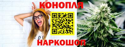 сатива Абакан