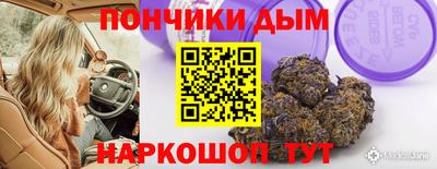ALPHA PVP Гай
