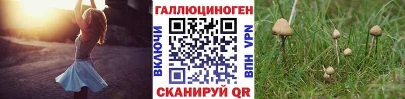 Галлюциногенные грибы мухоморы  Алейск 