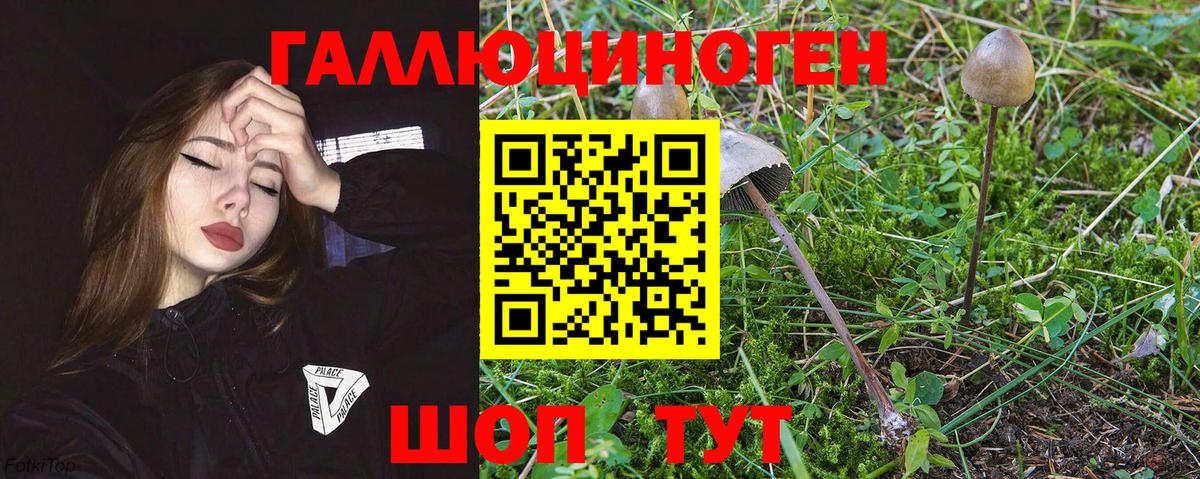 Галлюциногенные грибы Magic Shrooms Алейск