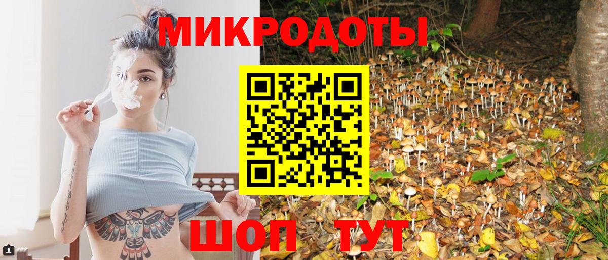 Алейск  Псилоцибиновые грибы Magic Shrooms  Вход с VPN 