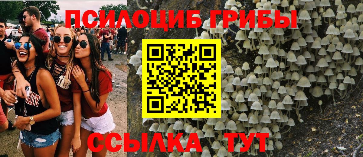 Псилоцибиновые грибы мухоморы Алейск