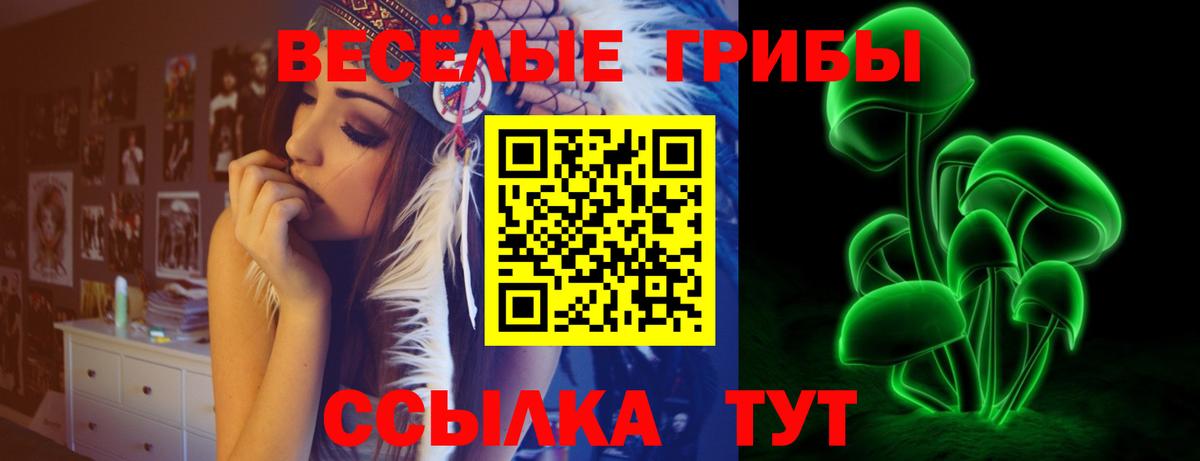 Псилоцибиновые грибы Magic Shrooms  Псилоцибиновые грибы прущие грибы  Алейск 